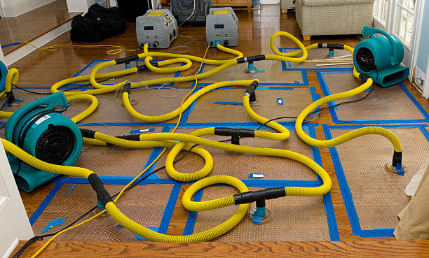 Professional Basement Flood Cleanup technician working in La Follette, TN